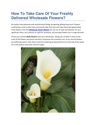 How To Take Care Of Your Freshly Delivered Wholesale Flowers?