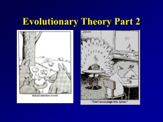 Evolutionary Theory Part 2