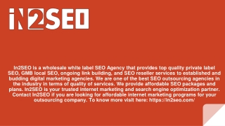 White Label SEO Services - In2SEO