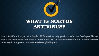 norton login