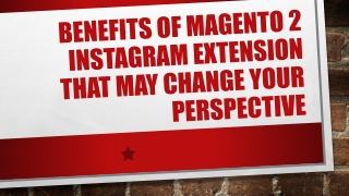 Benefits Of Magento 2 Instagram Extension That May Change Your Perspective