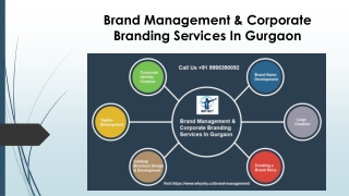 Brand Management & Corporate Branding Services In Gurgaon