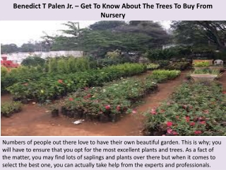 Benedict T Palen Jr. – Get To Know About The Trees To Buy From Nursery