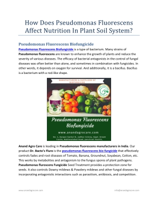 Pseudomonas Fluorescens Affect Nutrition in Plant Soil System