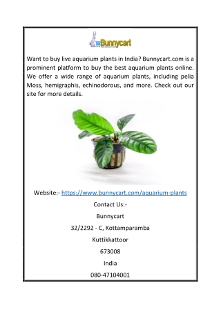 Aquarium Plants Online | Bunnycart.com