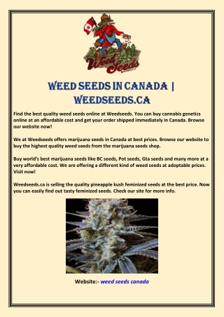 Weed Seeds in Canada | Weedseeds.ca