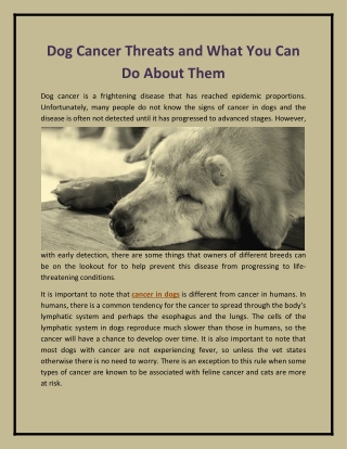 Dog Cancer Threats and What You Can Do About Them