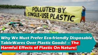 Why We Must Prefer Eco-friendly Disposable Tablewares Over Plastic Goods!