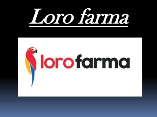 Productos de ortopedia