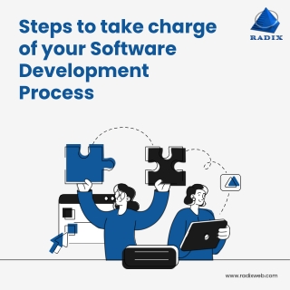 Steps To Take Charge of your Software Development Process