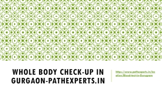 Whole Body Check-up in Gurgaon-Pathexperts.in