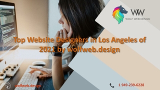 Top Website Designers in Los Angeles of 2021 by wolfweb.design