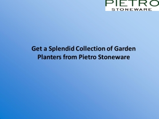 Get a Splendid Collection of Garden Planters from Pietro Stoneware