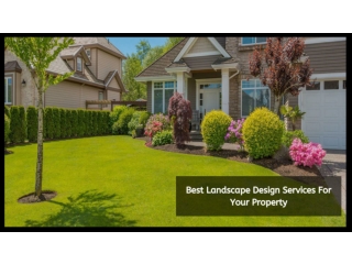 Best Landscape Design Services For Your Property