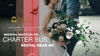 Wedding Shuttles via Charter Bus Rental Near Me