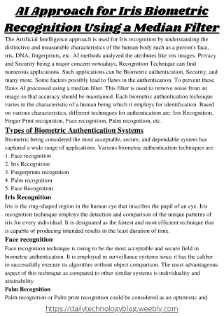 AI Approach for Iris Biometric Recognition Using a Median Filter