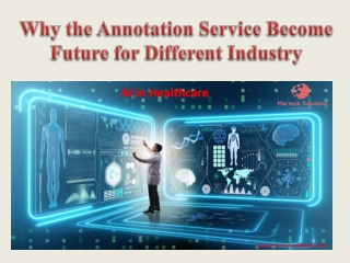 Why the Annotation Service Become Future for Different Industry