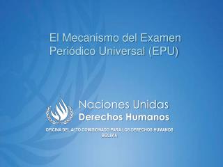 Naciones Unidas Derechos Humanos