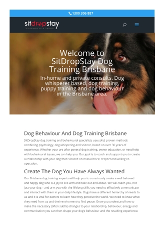 Dog Training Brisbane