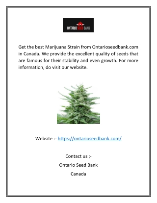 Seed Bank Canada | Ontarioseedbank.com