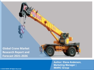 Crane Market PDF: Industry Overview, Growth Rate and Forecast 2021-26