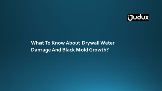 What To Know About Drywall Water Damage And Black Mold Growth?