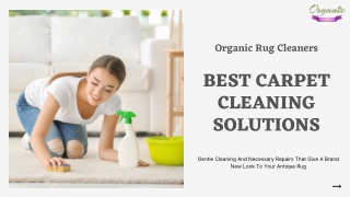 Certified Carpet & Rug Cleaning Services In Nyc