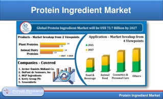 Protein Ingredient Market By Products, Regions, Global Forecast
