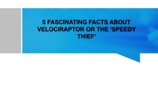 5 FASCINATING FACTS ABOUT VELOCIRAPTOR OR THE ‘SPEEDY THIEF