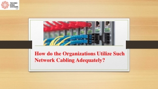 How do the Organizations Utilize Such Network Cabling Adequately?