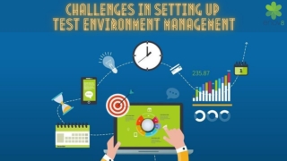 Challenges in setting up Test Environment Management