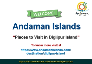 Places to Visit in Diglipur Island