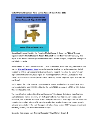 Global Thermal Expansion Valve Market Report 2021-2025