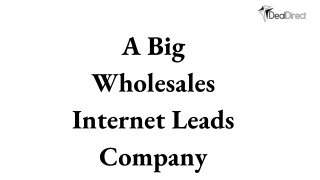 A Big Wholesales Internet Leads Company _ Buy And Sale leads