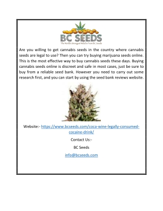 Coca Wine | Bcseeds.com