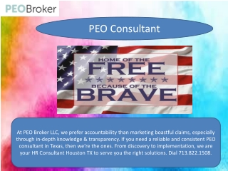 PEO Consultant