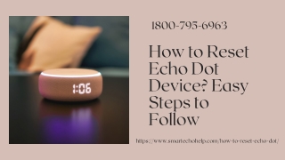 How To Reset Echo Dot? 1-8007956963 Alexa App Factory Reset -Call Now