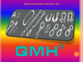 High Grade Stainless Steel Eye Nut