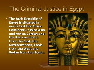 The Criminal Justice in Egypt
