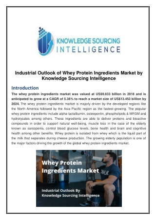 Industrial Outlook of Whey Protein Ingredients Market