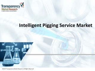 Intelligent Pigging Service Market