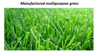 Manufactured multipurpose grass