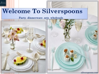 Party dinnerware sets wholesale