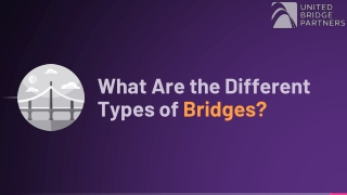 What Are the Different Types of Bridges?