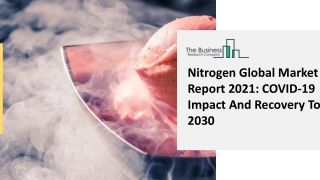 Nitrogen Market Sales Research, Regional Industry Segments By 2025