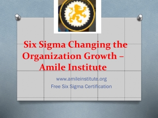 Six Sigma Changing the Organization Growth – Amile Institute