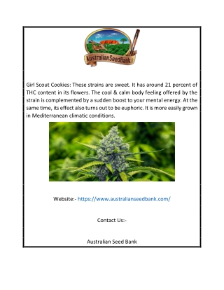 Australian Cannabis Seed Banks | Australianseedbank.com