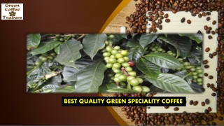 BEST QUALITY GREEN SPECIALITY COFFEE