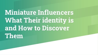 Miniature Influencers What Their identity is and How to Discover Them