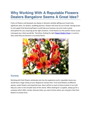 Why Working With A Reputable Flowers Dealers Bangalore Seems A Great Idea?